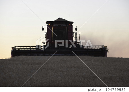 Harvester machine, harvesting in the Argentine countryside, Buenos Aires province, Argentina. 104729985