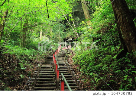 森の階段に続く熊襲穴 104730792