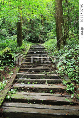 熊襲穴の階段道 104730795