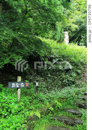 森に囲まれた熊襲穴の入り口 104730796