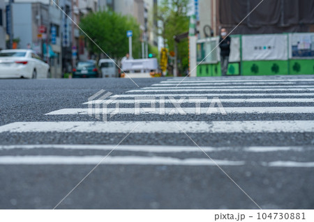 東京都　中央区　三田　明石町　聖ルカ通り　夏　午前　昼　観光　旅行　歩道　道路　街路樹　車　横断歩道 104730881