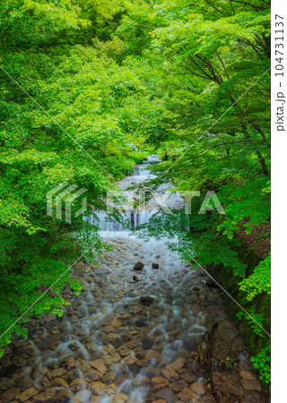 【新緑】牛伏川フランス式階段工【松本市】 【新緑】牛伏川フランス式階段工【松本市】 104731137