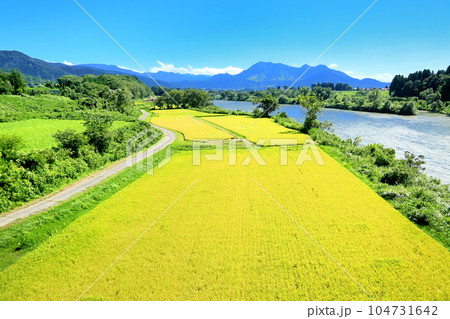 常盤大橋より望む棚田と高社山 104731642