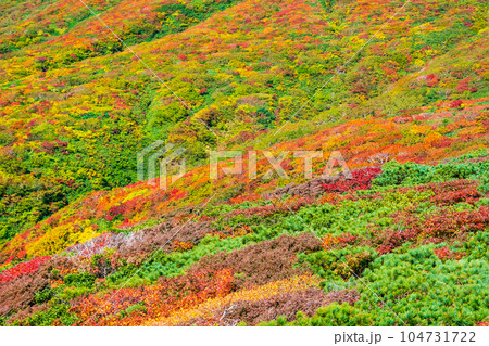 秋の栗駒山登山(中央コース):神の絨毯 秋の栗駒山登山(中央コース):神の絨毯 104731722