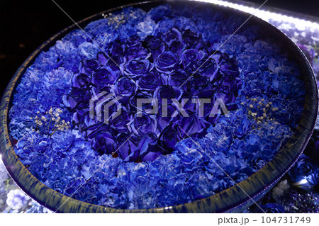 水鉢に浮かぶ青い花 水鉢に浮かぶ青い花 104731749