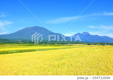 北信州の田園風景と北信五岳 北信州の田園風景と北信五岳 104732686