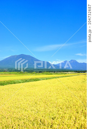北信州の田園風景と北信五岳 104732687