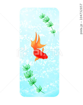 優雅に泳ぐ金魚　暑中見舞い 104732857