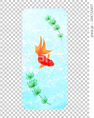 優雅に泳ぐ金魚　暑中見舞い 104732857