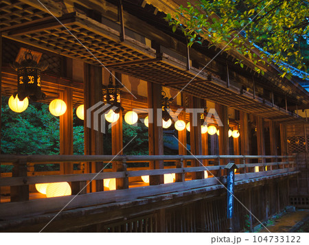 新潟県加茂市　青海神社のあかりまいり 104733122