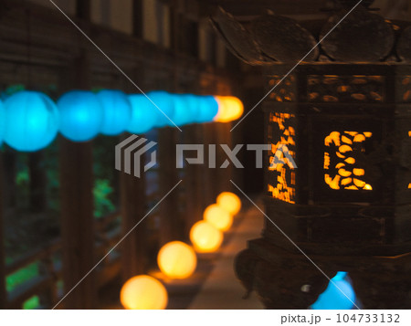 新潟県加茂市 青海神社のあかりまいり 新潟県加茂市 青海神社のあかりまいり 104733132
