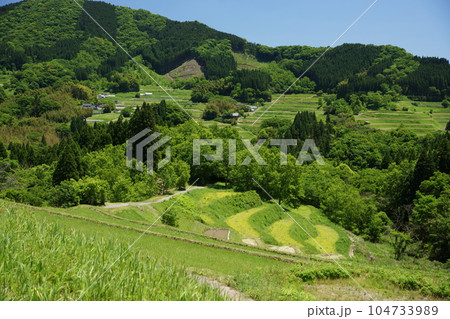 高千穂の山あいの畑 高千穂の山あいの畑 104733989