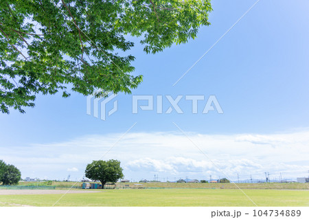 緑豊かな河川敷の芝生広場【グラウンド】 104734889