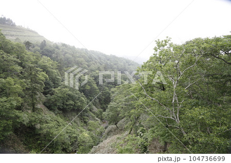 山の中の景色 山の中の景色 104736699