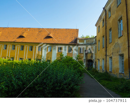Ruins of the old Olyka Castle among the thickets 104737911