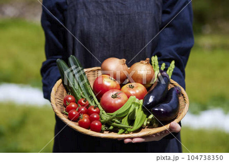 畑の前で採れたての野菜をもつ農家の女性 104738350