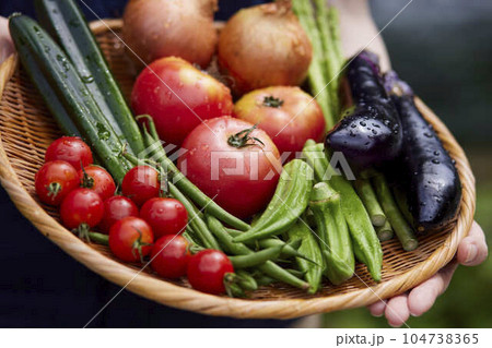 カゴに入った採れたての新鮮な野菜 カゴに入った採れたての新鮮な野菜 104738365
