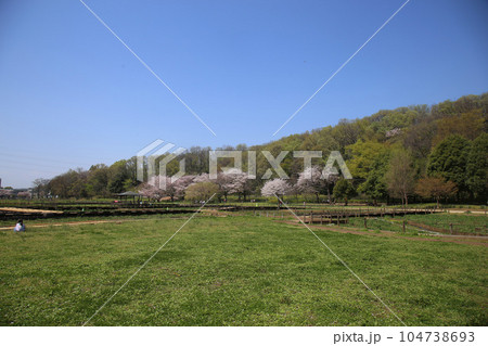 八国の里 八国の里 104738693