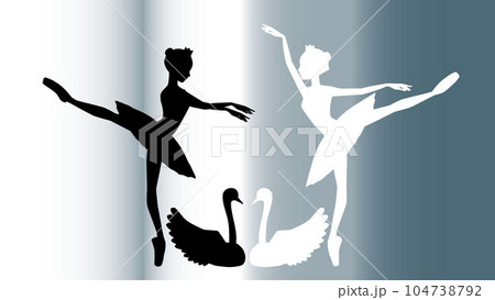 ビッグサイズ シルバー系額装付きコラージュアート作品#バレリーナ