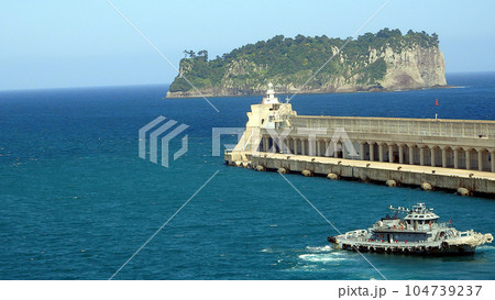 済州島 西帰浦江汀港、韓国 104739237