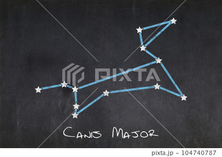 Canis Major constellation drawn on a blackboard Canis Major constellation drawn on a blackboard 104740787