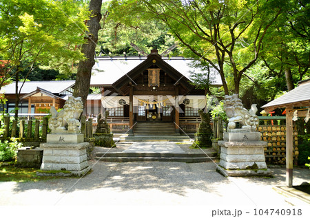 新潟県上越市の勝負の神様を祀る春日山神社 新潟県上越市の勝負の神様を祀る春日山神社 104740918