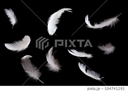 黒背景に舞う白い羽根 104741291