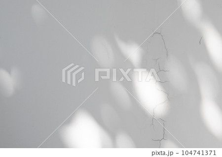 Abstract natural tree leaves shadow on white wall background 104741371