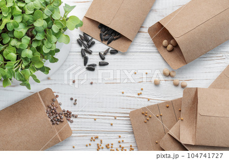 Gardening concept, planting at home 104741727