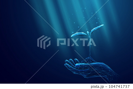 Digital Human Hand Holds the Plant in Palms. 104741737