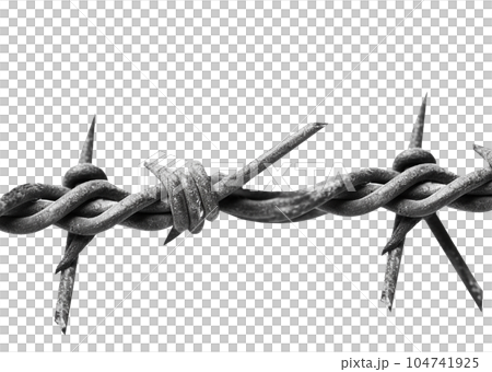 Barbed wire isolated on transparent background Barbed wire isolated on transparent background 104741925