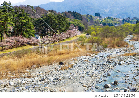 長野県上伊那郡飯島町与田切公園の春景色 長野県上伊那郡飯島町与田切公園の春景色 104742104