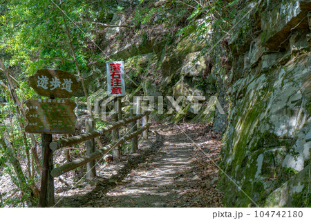 照葉大吊橋遊歩道の風景 照葉大吊橋遊歩道の風景 104742180