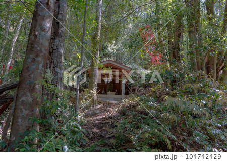 照葉大吊橋遊歩道の山ノ神 照葉大吊橋遊歩道の山ノ神 104742429