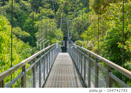 照葉大吊橋遊歩道のかじかつり橋 104742785