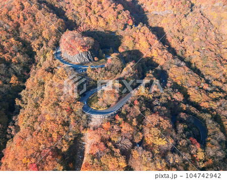 「栃木県」日光いろは坂の紅葉　空撮 104742942