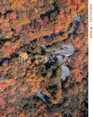 「栃木県」日光いろは坂の紅葉　空撮 104742984
