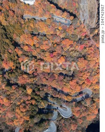 「栃木県」日光いろは坂の紅葉　空撮 104742987