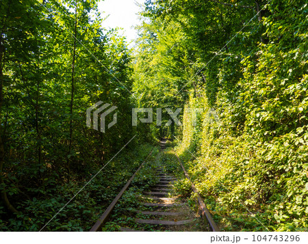 Scenic railway in the summer forest. Tunnel of love in Klevan, Ukraine Scenic railway in the summer forest. Tunnel of love in Klevan, Ukraine 104743296
