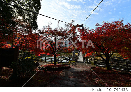 秋の川代公園 秋の川代公園 104743438