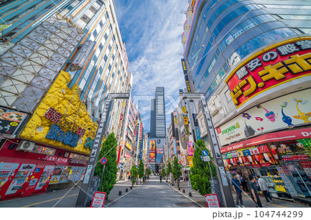 「東京都」歌舞伎町の風景 歌舞伎町スクランブル交差点 「東京都」歌舞伎町の風景 歌舞伎町スクランブル交差点 104744299