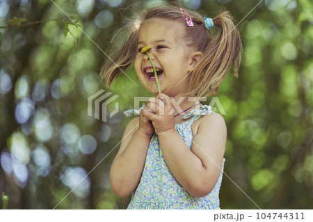 Cute child tearing off flower petals while playing - loves or dislike 104744311