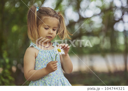 child tearing off flower petals while playing - loves or dislike 104744321