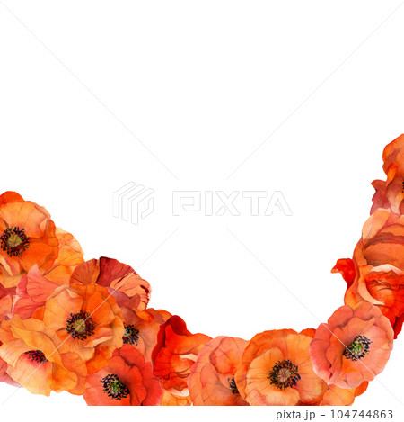 Watercolor square frame composition with hand drawn summer bright red poppy flowers. Isolated on white background. Design for invitations, wedding, love or greeting cards, paper, print, textile 104744863