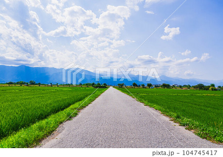 真っすぐ伸びる道と田園風景 真っすぐ伸びる道と田園風景 104745417