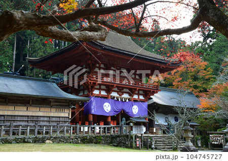 秋の丹生都比賣神社 秋の丹生都比賣神社 104745727
