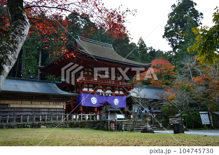 秋の丹生都比賣神社 104745730