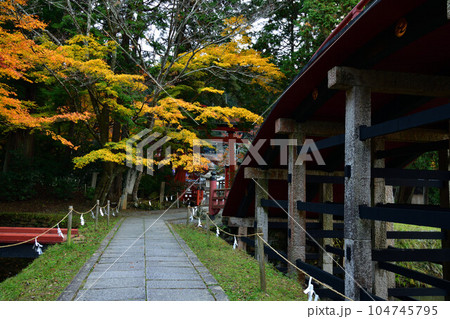 秋の丹生都比賣神社 秋の丹生都比賣神社 104745795