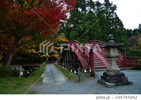 秋の丹生都比賣神社 104745802