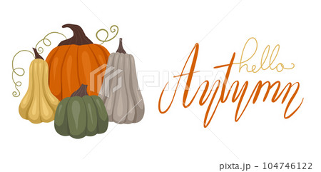 Quote hello autumn. Cozy autumn banner with pile vegetables and calligraphic inscription. Horizontal vector card with pumpkins composition Quote hello autumn. Cozy autumn banner with pile vegetables and calligraphic inscription. Horizontal vector card with pumpkins composition 104746122
